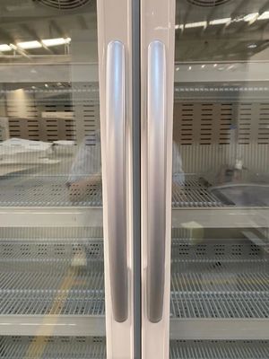 1006L refroidissement vaccinique d'air forcé de réfrigérateur de réfrigérateur de pharmacie médicale de la porte à deux battants R290