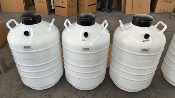qualité  Biological Sample Dry Shipper – Leak-Free Liquid Nitrogen Container usine