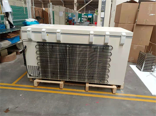 Moins 40 congélateur biomédical horizontal réfrigérant de coffre d'acier inoxydable du degré R290