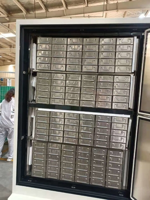 Moins 86 congélateur cryogénique de plasma de degré pour le stockage vaccinique d'ADN 728 litres