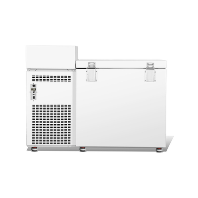 Congélateur de stockage à froid de 128L de capacité, micro-climat, avec en acier inoxydable