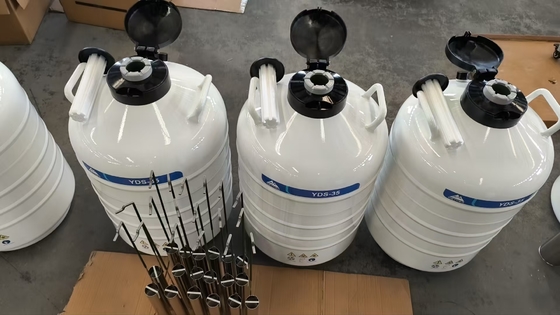 Conteneur d'expédition à sec d'échantillons biologiques – Conteneur d'azote liquide étanche