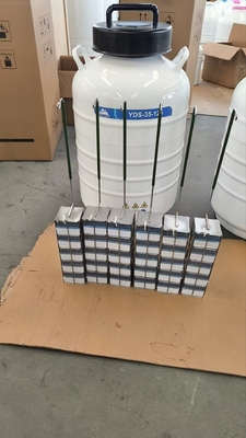Conteneur de transport d'azote liquide portable - Transport sûr des cellules et des tissus
