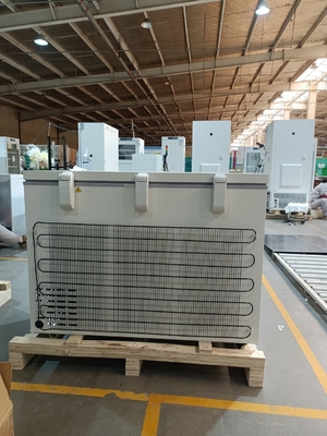 MDF-40H305 -40℃ Congélateur Coffre Biomédical 305L Grande Capacité Congélateur Profond Médical pour Virus, Sang et Stockage en Laboratoire