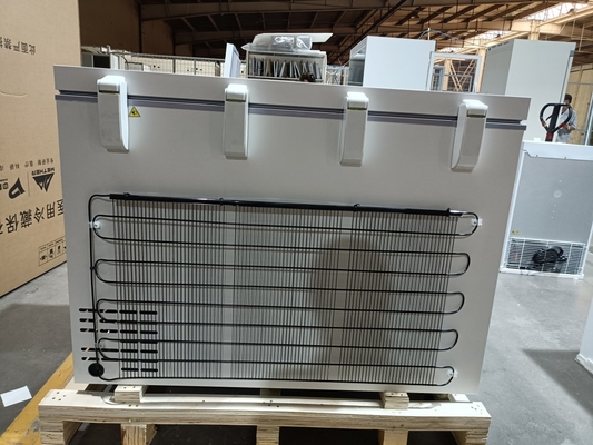 MDF-40H305 -40℃ Congélateur Coffre Biomédical -40°C pour Laboratoire et Médical, 305L, Grande Capacité