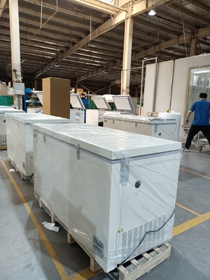 MDF-40H485 -40℃ Congélateur Coffre Ultra-Basse Température 485L Auto-Cascade Congélateur Biomédical pour Laboratoire