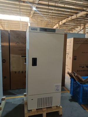 MDF-40V268E -40°C Congélateur Profond Médical | Congélateur Biomédical de Haute Précision 268L pour Laboratoires et Hôpitaux