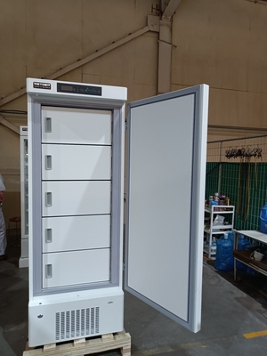 MDF-40V328E -40℃ Congélateur profond biomédical | Congélateur médical vertical de 328L pour vaccins, sang et échantillons biologiques