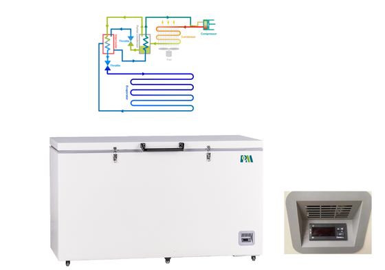 Systèmes de réfrigération profonds ULT de cascade automatique de -40℃~-86℃ pour le laboratoire 485L d'hôpital